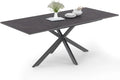 Table à Manger Extensible Jaspe pour 6 à 10 Personnes, Plateau Effet Béton, Pieds Araignée Gris Anthracite, 160-200 cm